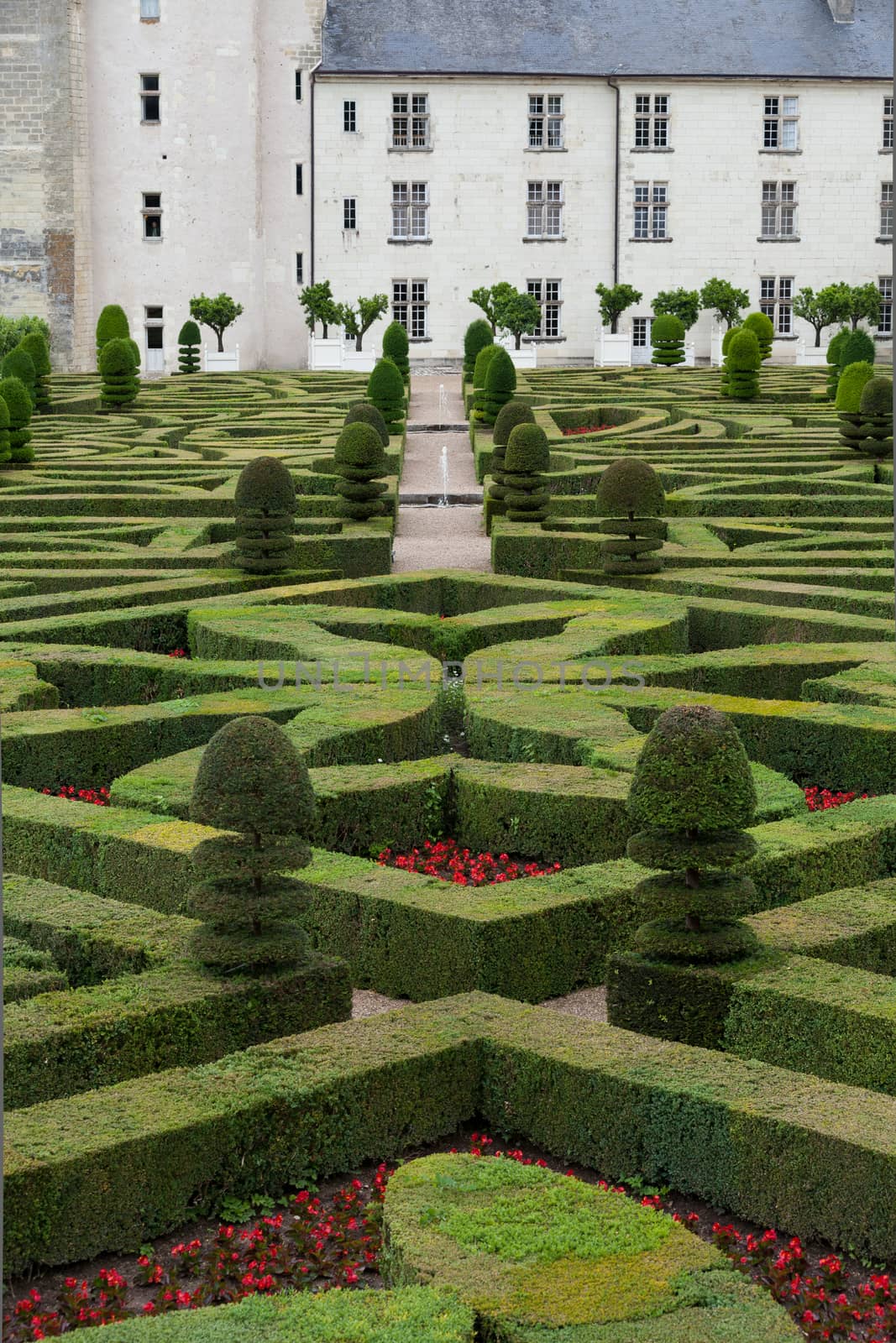 Gardens and Chateau de Villandry  in  Loire Valley in France 