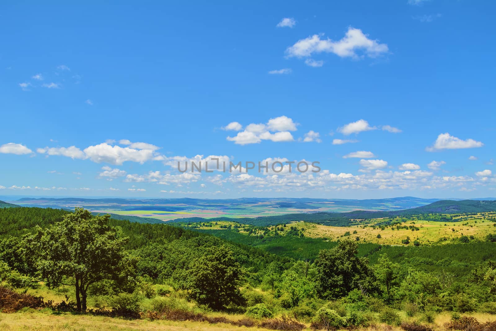 landscape