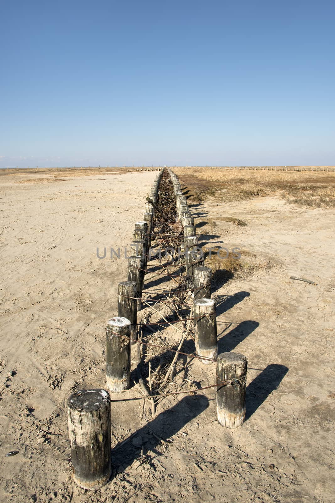 Image of wooden poles for protection at a beach in Northern Germany