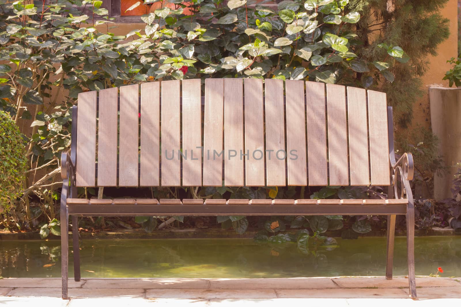 wooden chair by a lake in a sunshine day in a garden