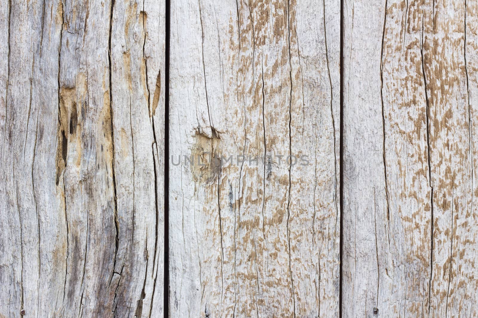 wooden door  texture all background in Thailand. close up