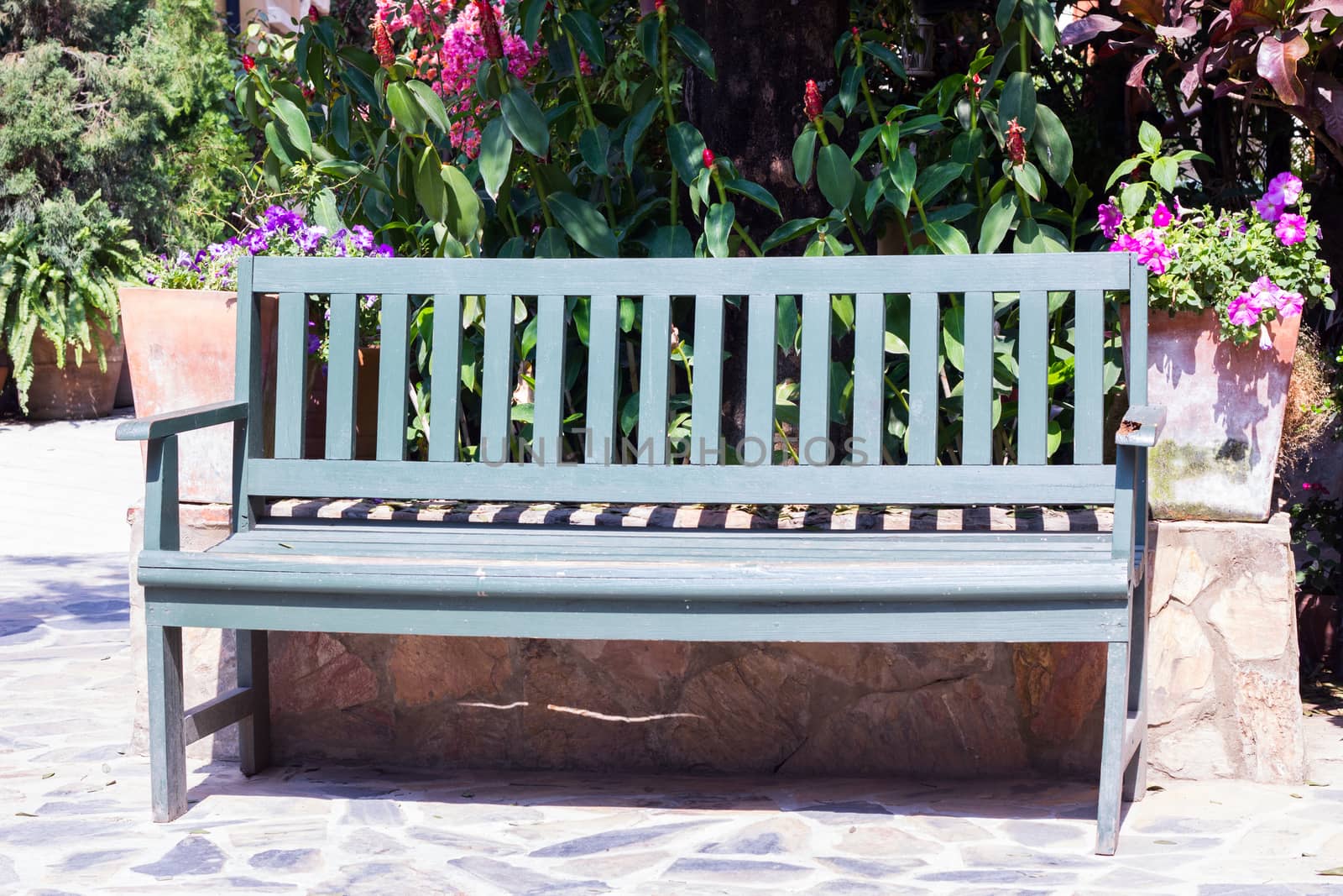 wooden chair near plants in a sunshine day in a garden