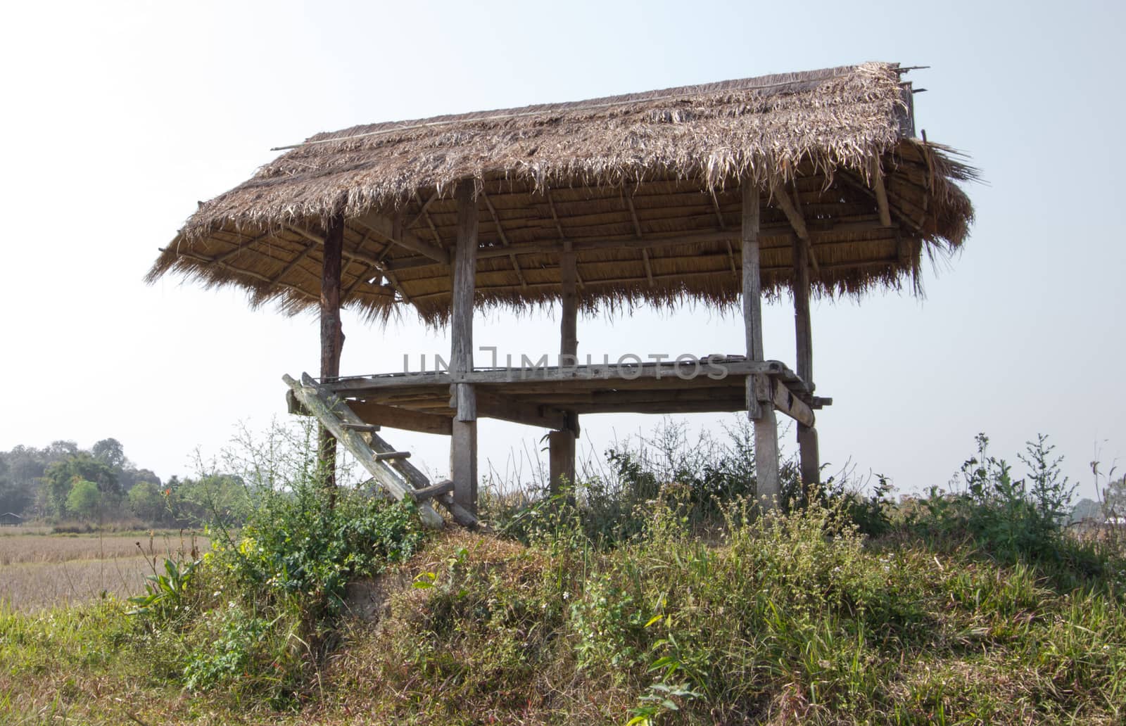 Thai traditional hut on mound in day light