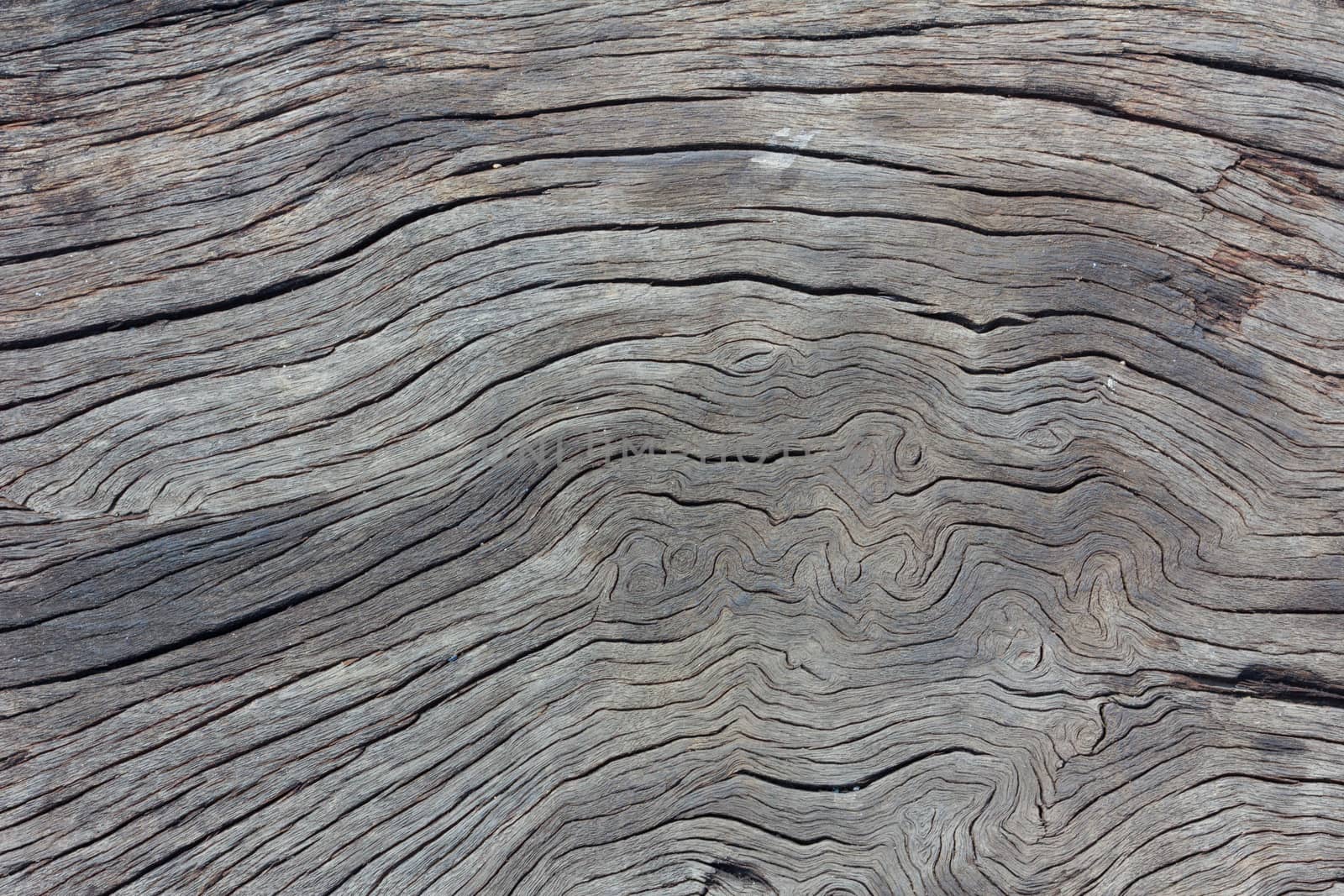 wood texture by a3701027