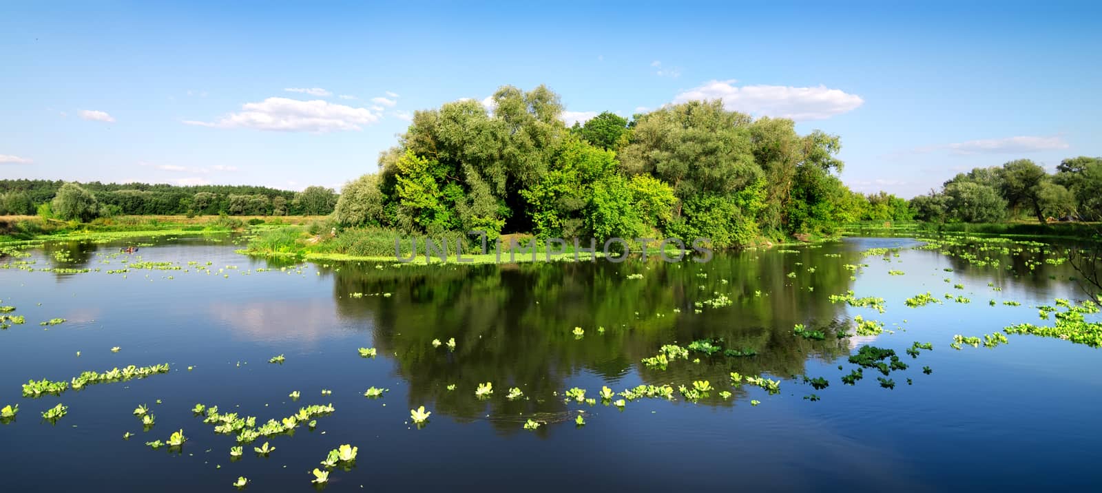 Little island on a beautiful river in summer