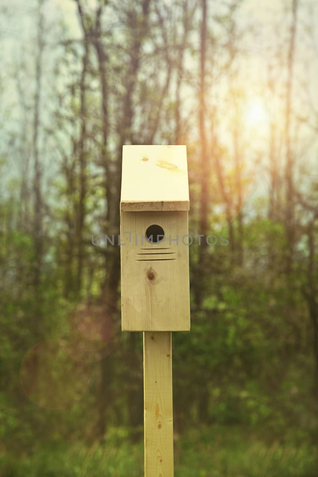 New nesting box set out for Spring by Sandralise