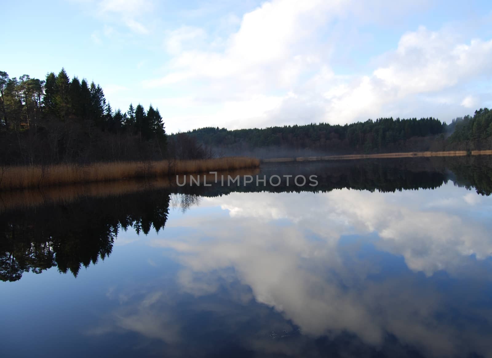 Reflection on water