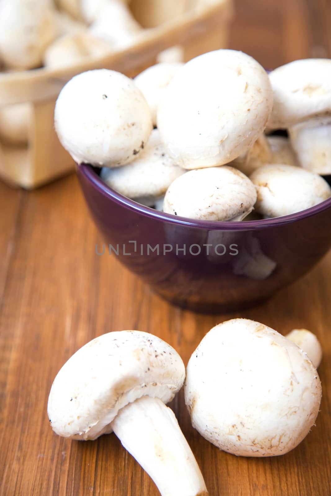 many raw fresh mushrooms in a bowl on a wooden background
