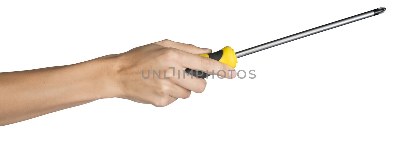 Female hand, bare, holding long screwdriver, isolated over white background