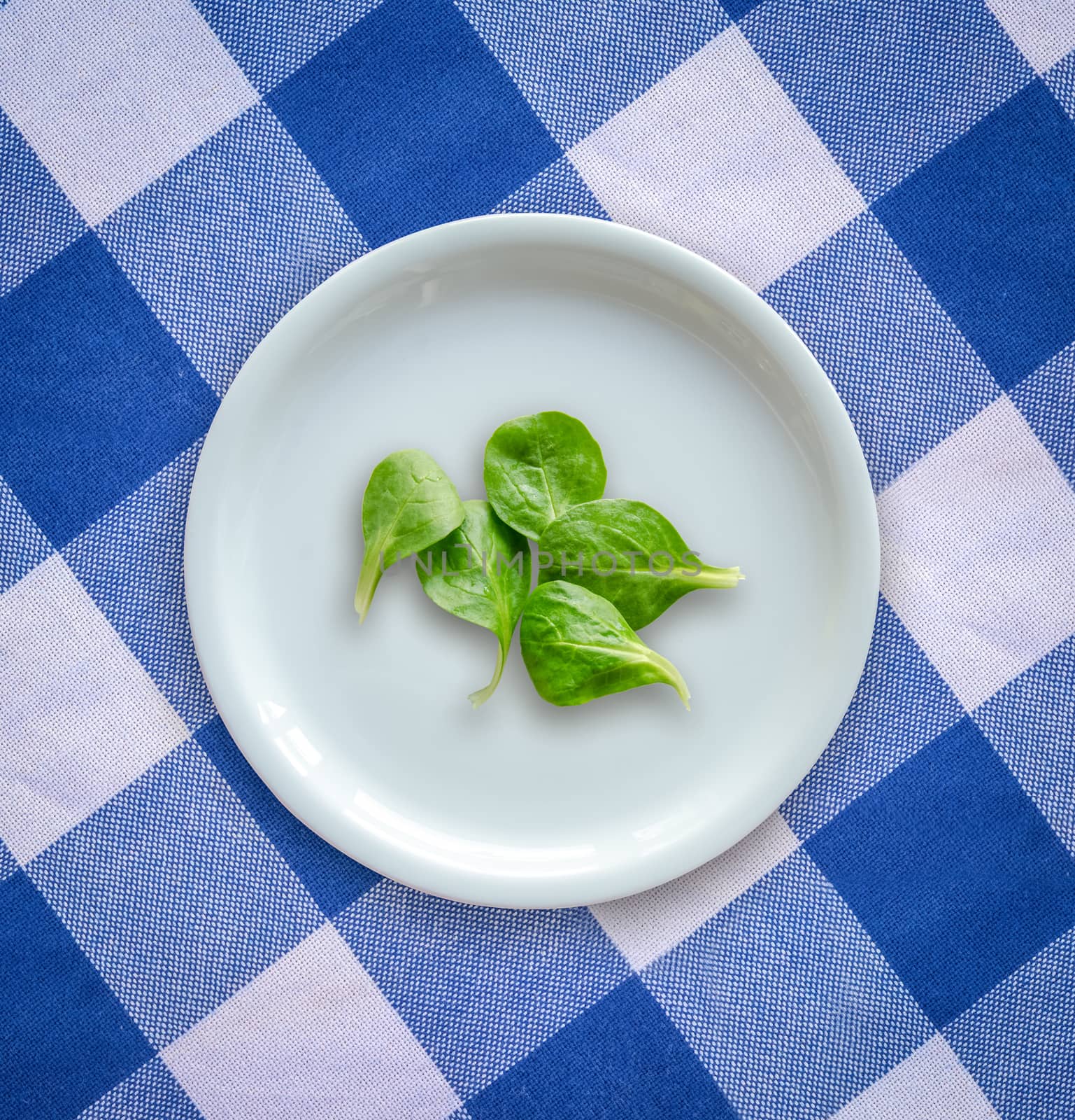 Diet Concept Image Of  Spinach Salad Leaves On A White Plate On A Checked Table Cloth
