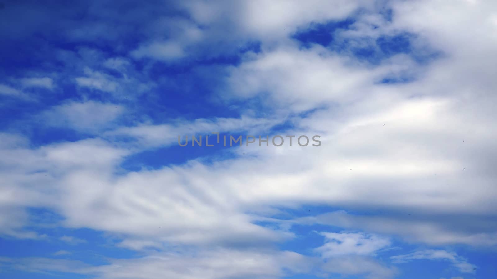 Beautiful white clouds in the blue sky