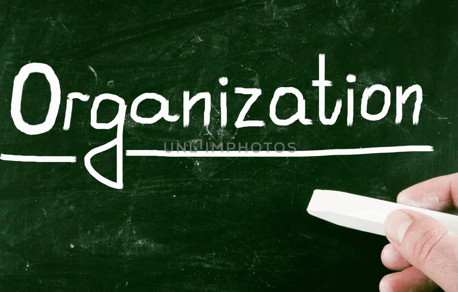 organization concept