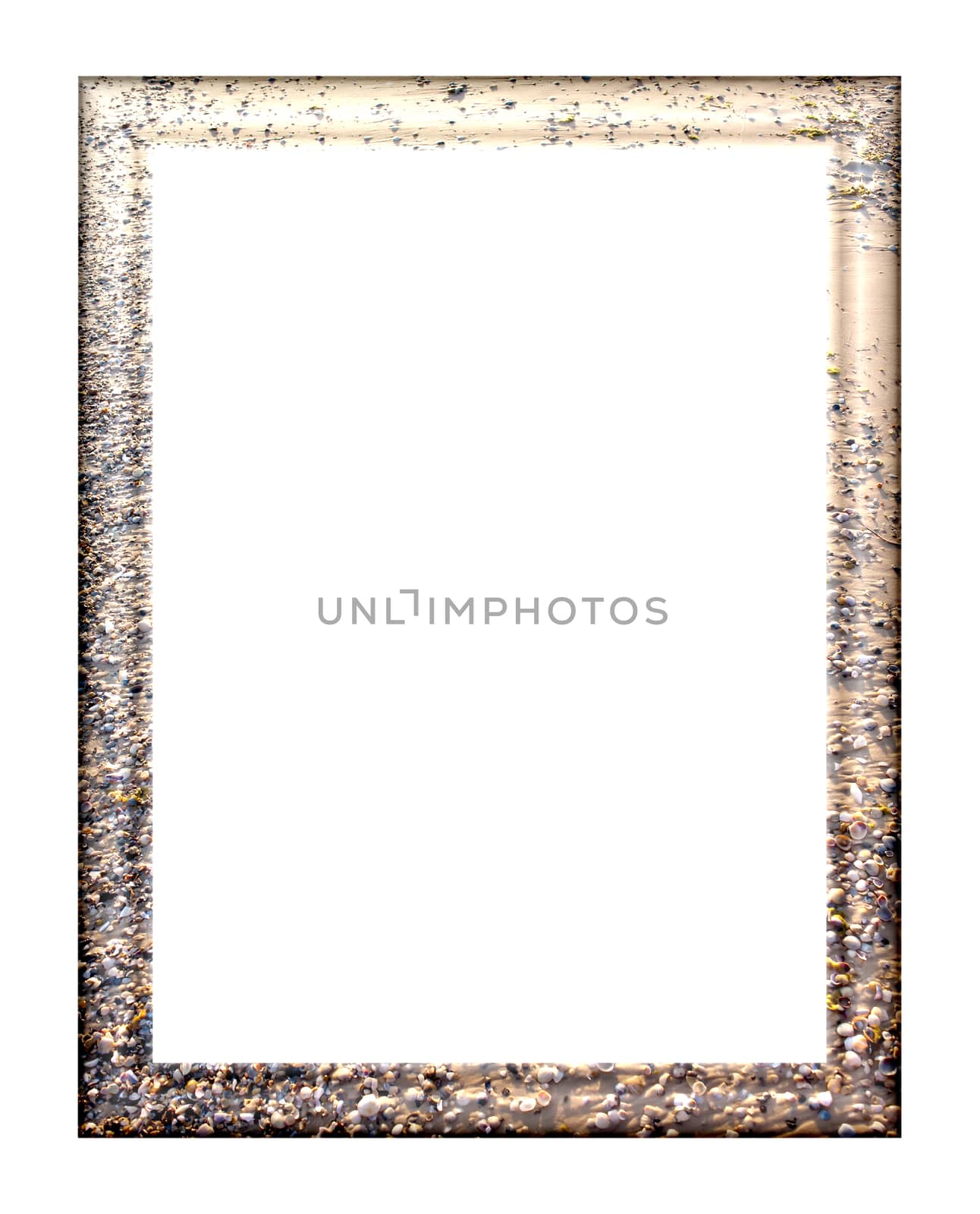 Rectangular vertical blank frame for pictures and photos with the texture of shells on the sea shore