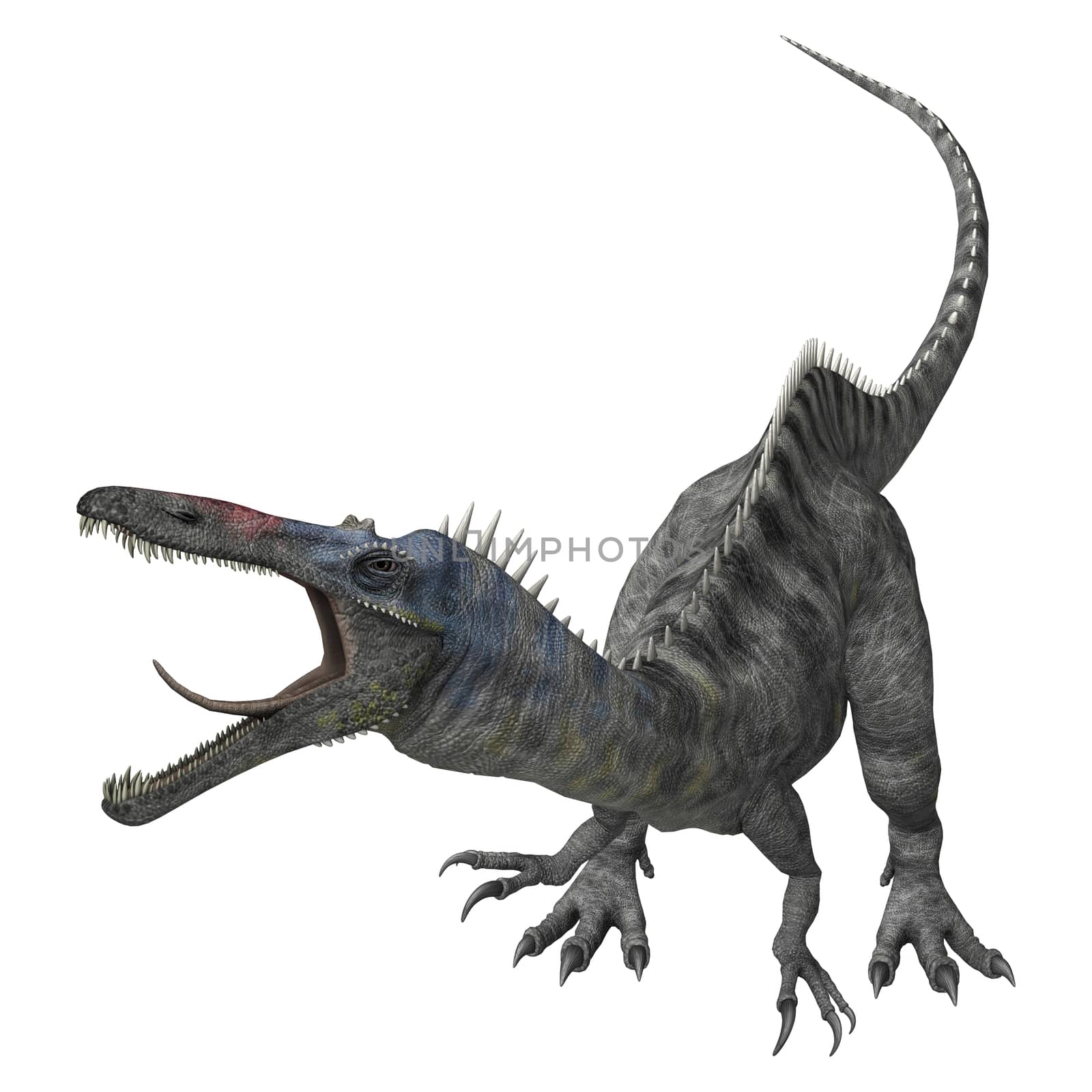 3D digital render of an aggressive dinosaur Suchomimus or Suchomimus tenerensis isolated on white background