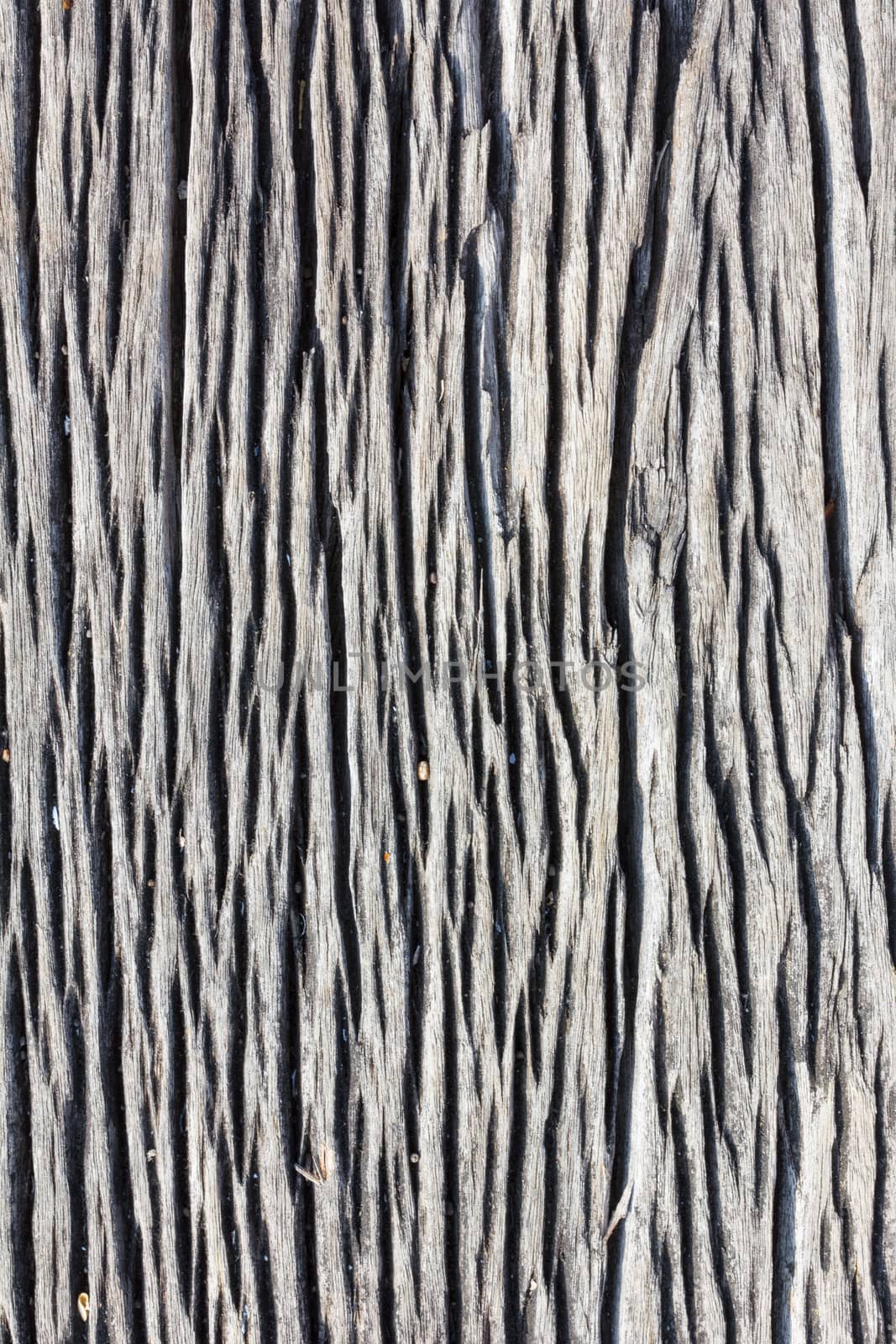 Texture of brown dark wood background closeup