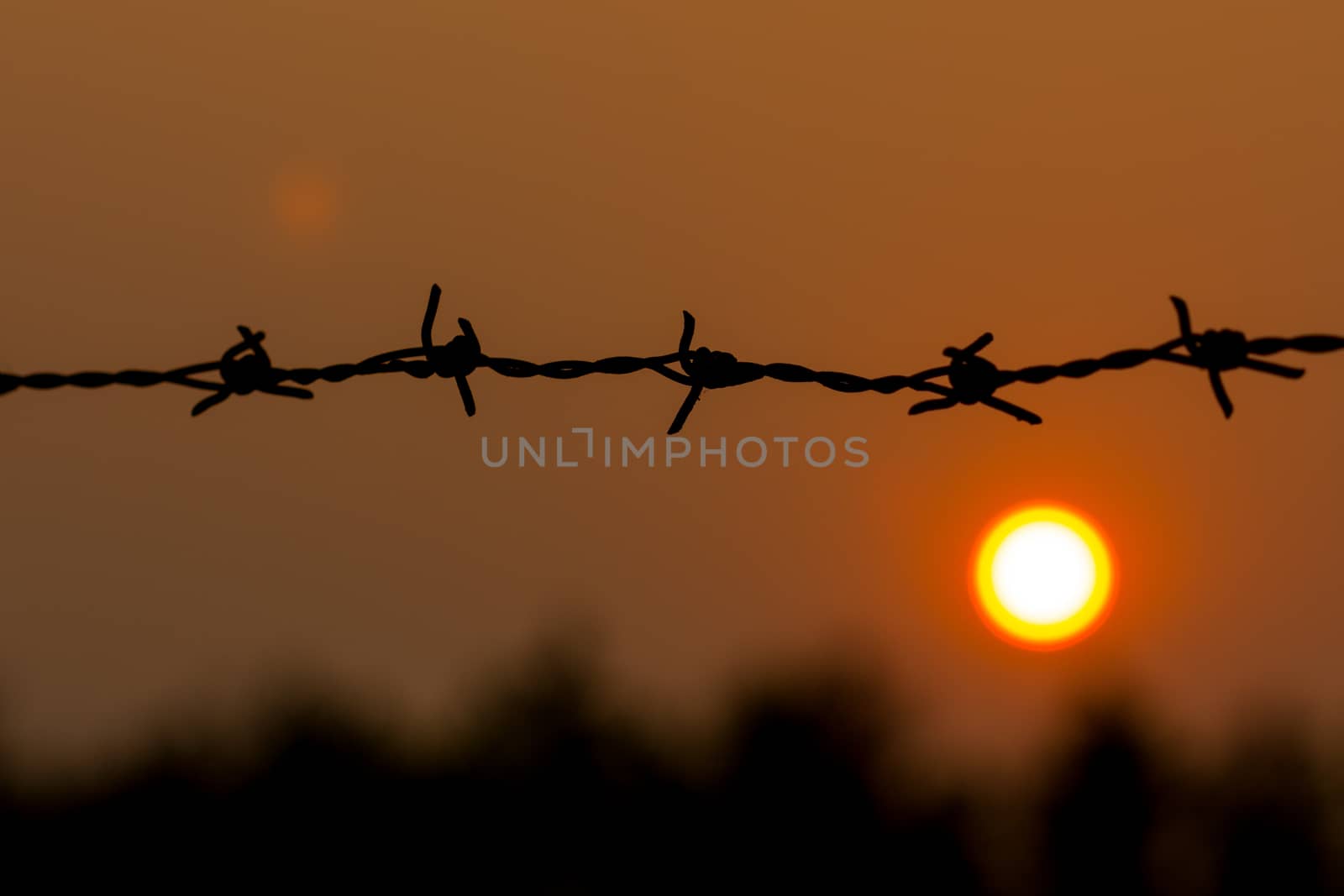 Barbed wire  by a3701027