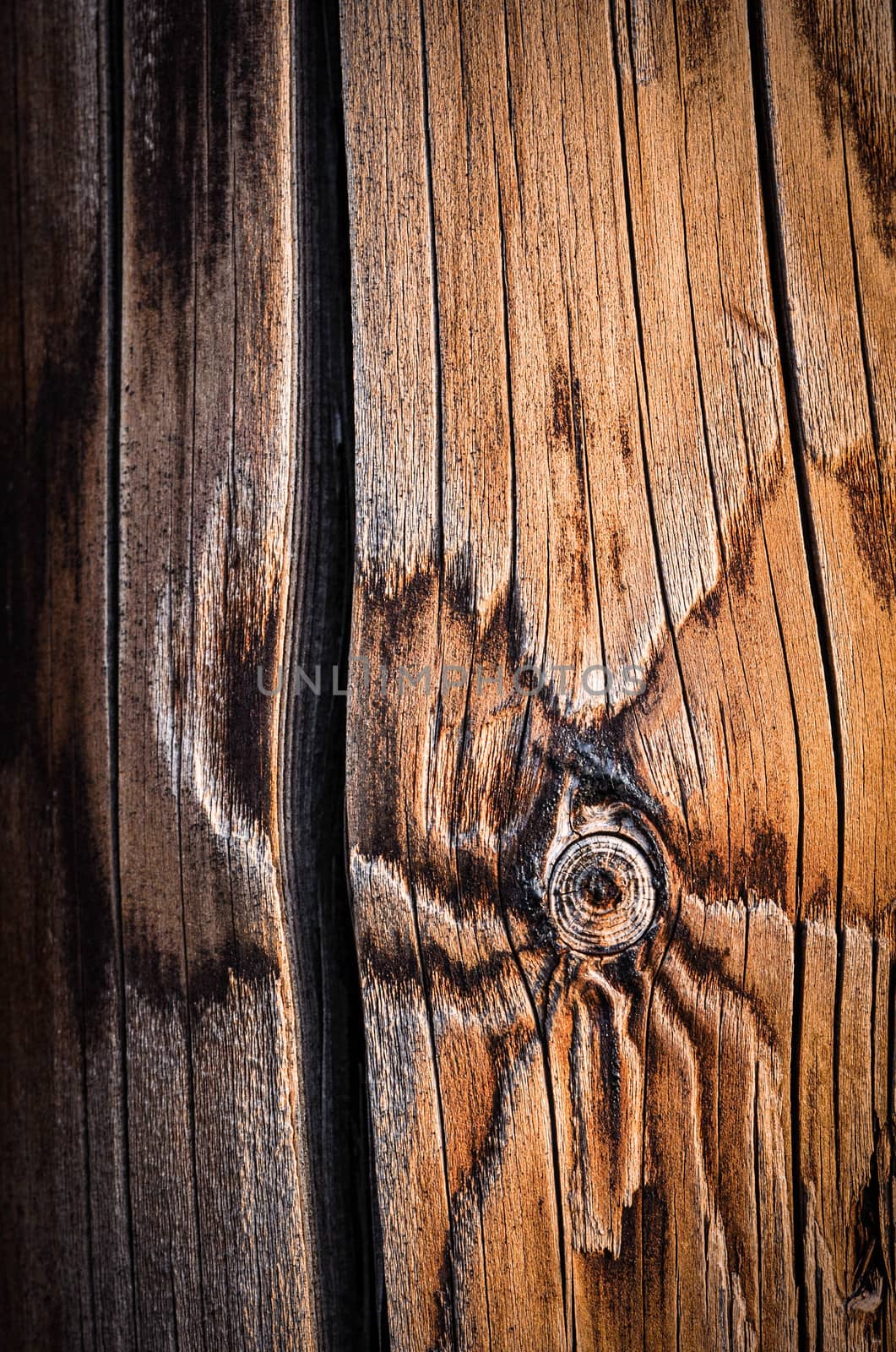 background or texture detail of wooden poles with asphalt coating