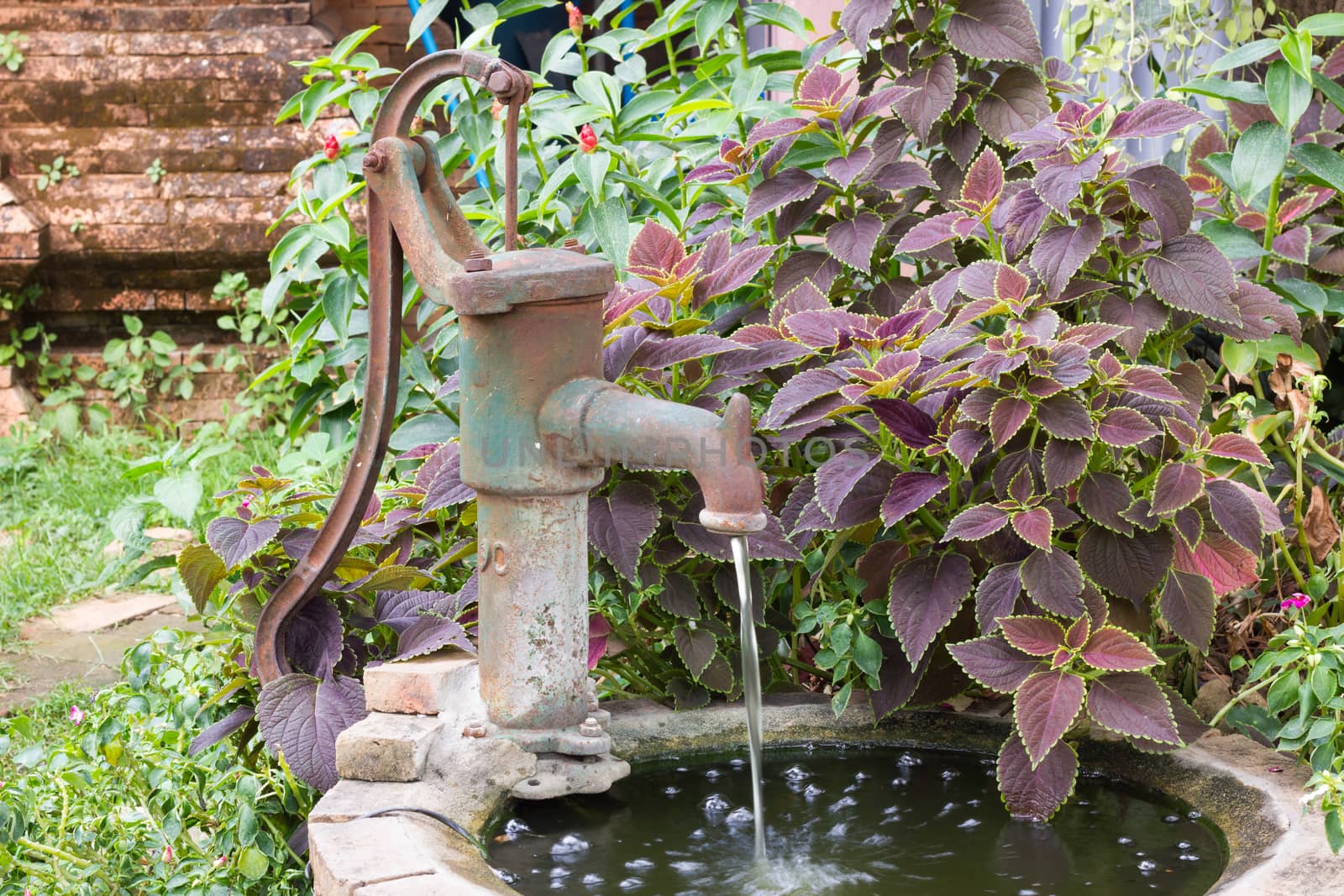 An old fashioned hand water pump above old water well, with plants