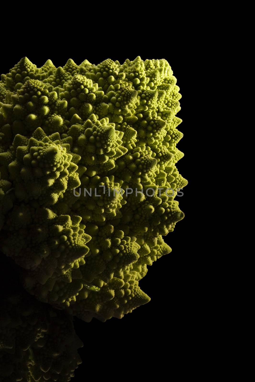 Romanesco broccoli. by eskymaks