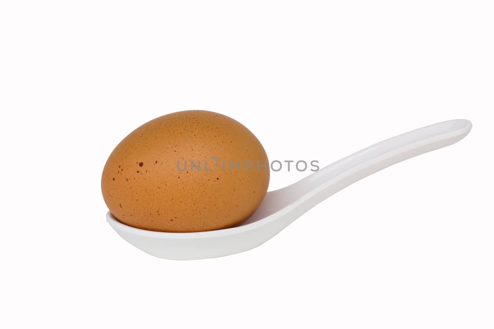Brown egg in the spoon isolated on white