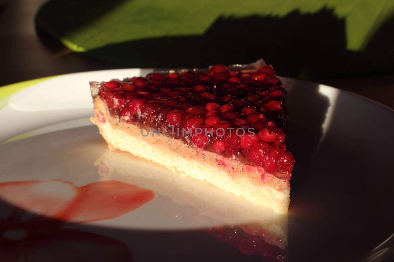 Piece of cake with cranberries on a shortcake dough