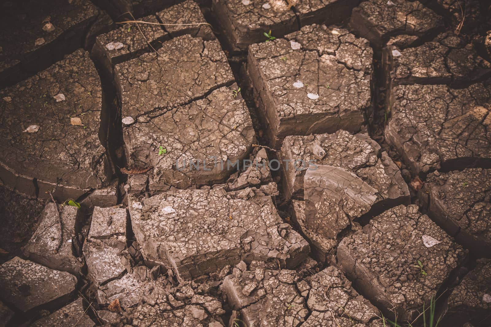 Texture of cracked soil ground in a dry season