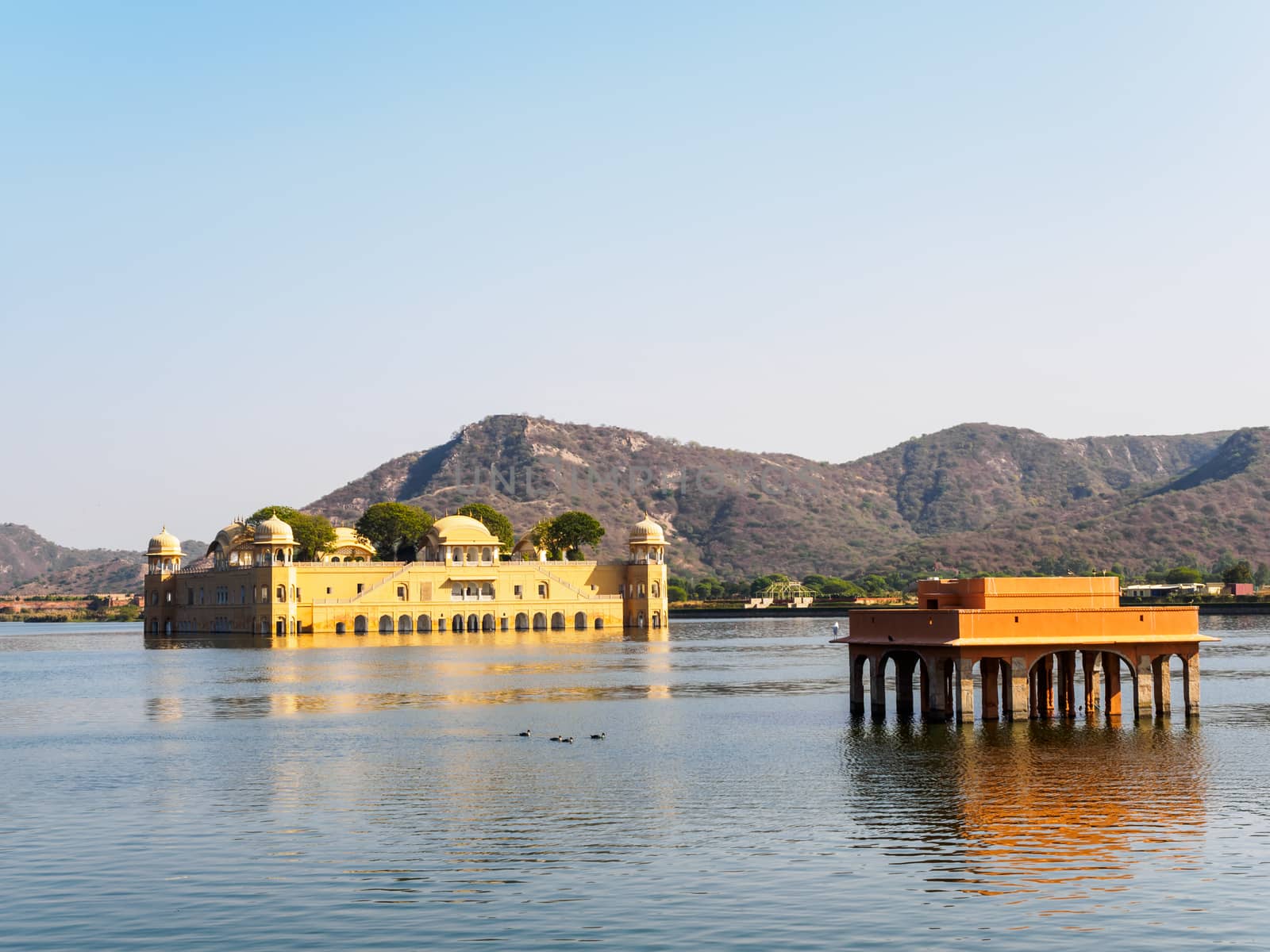 Jal Mahal, the Waterpalace in Jaipur, Rajasthan, India