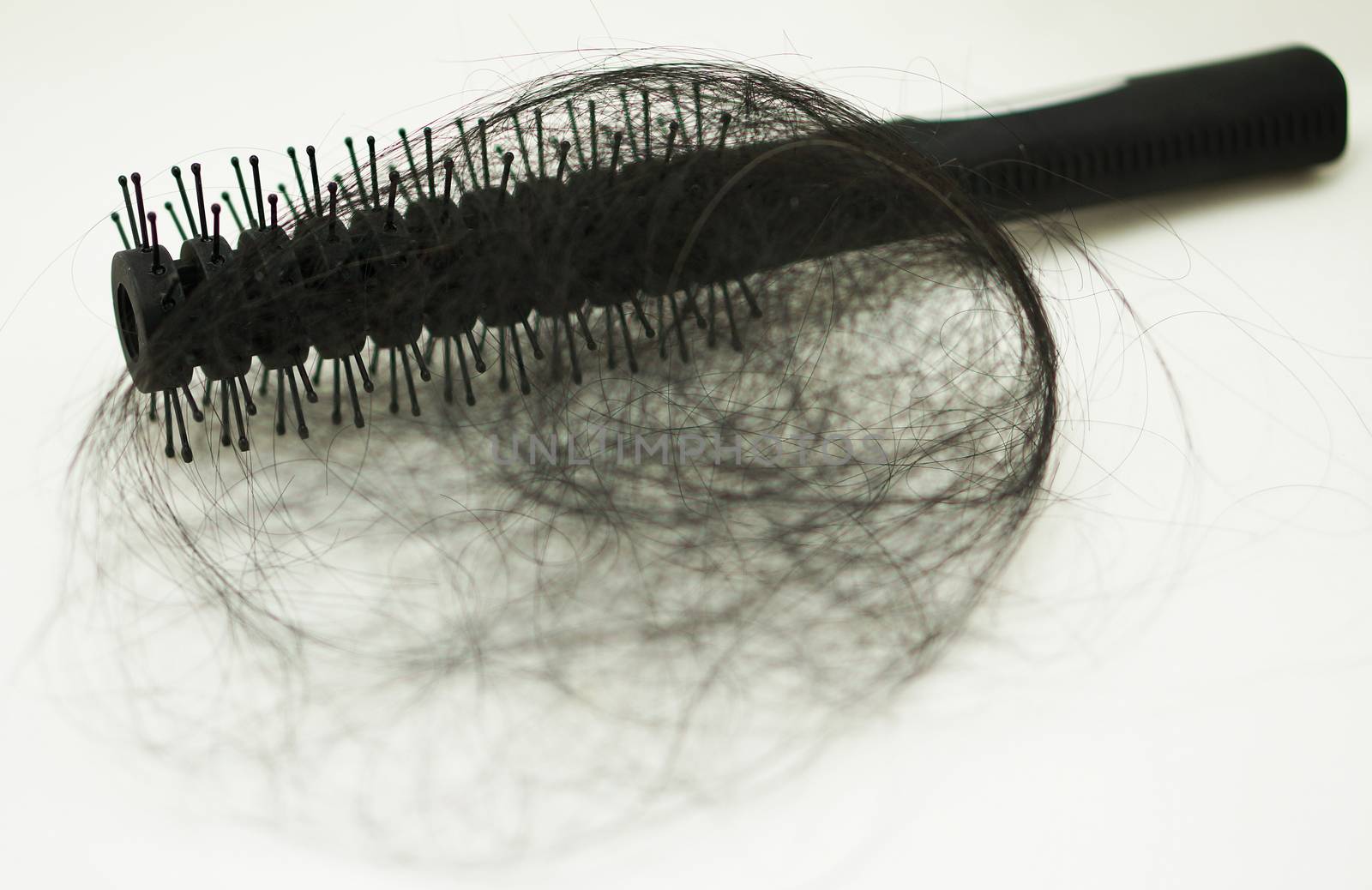 Women with hair loss problems, there are many hair attached to a comb after use.                               