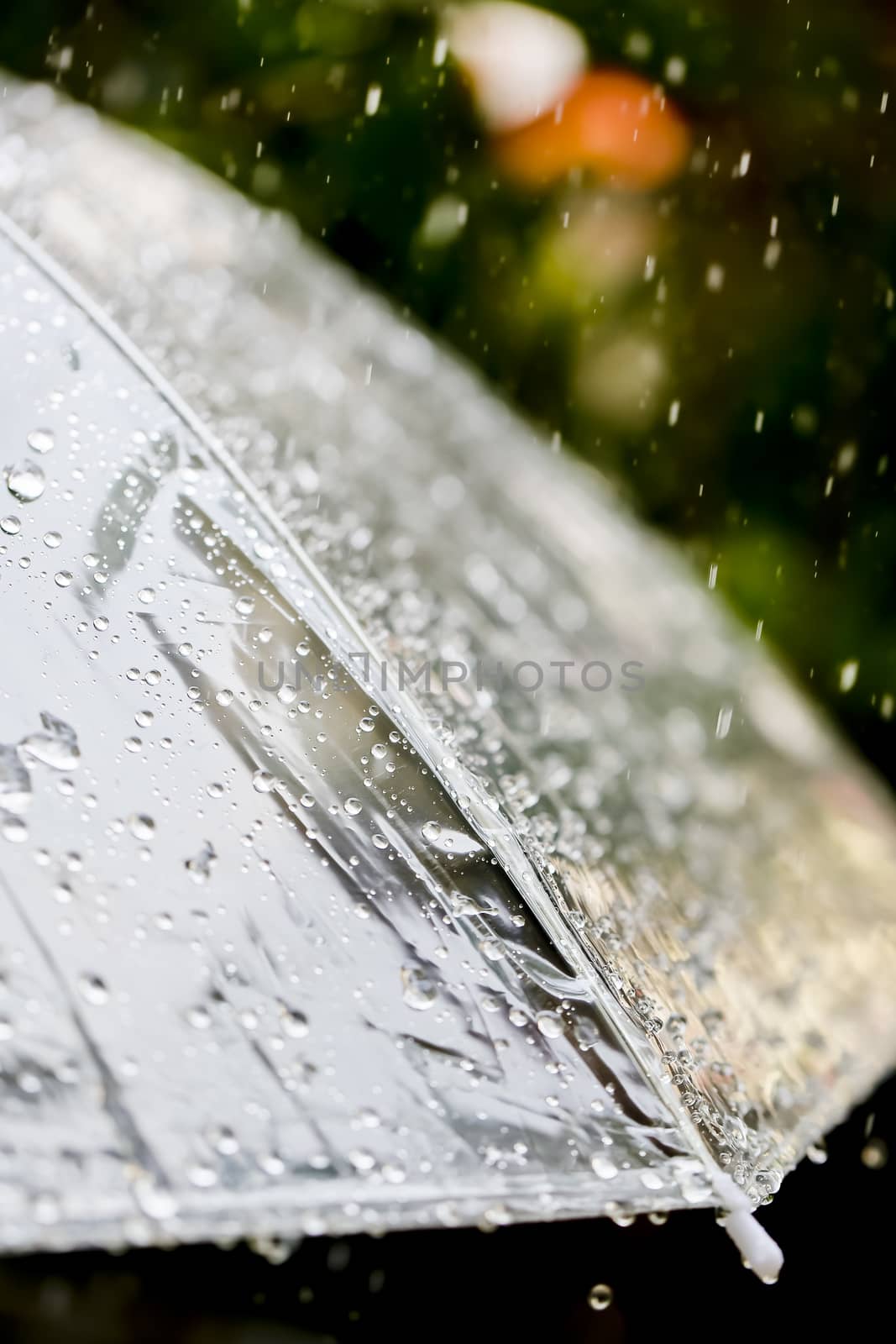 Umbrella in the rain in vintage tone