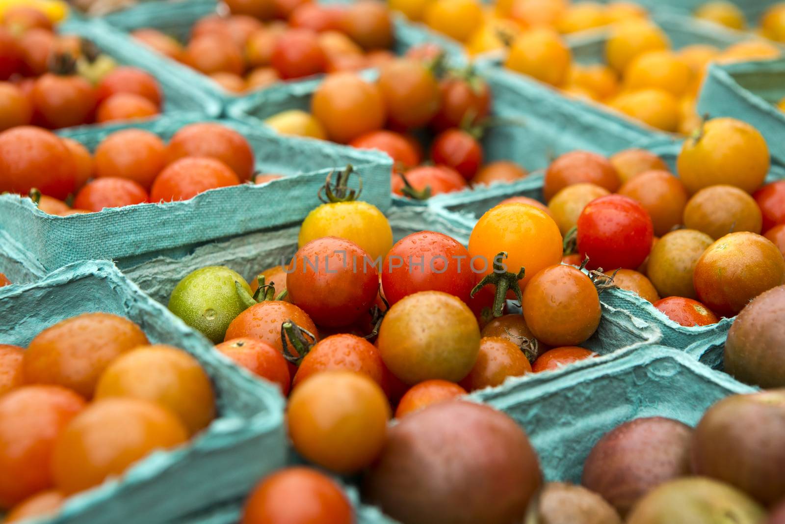 Organic tomatoes from a local market