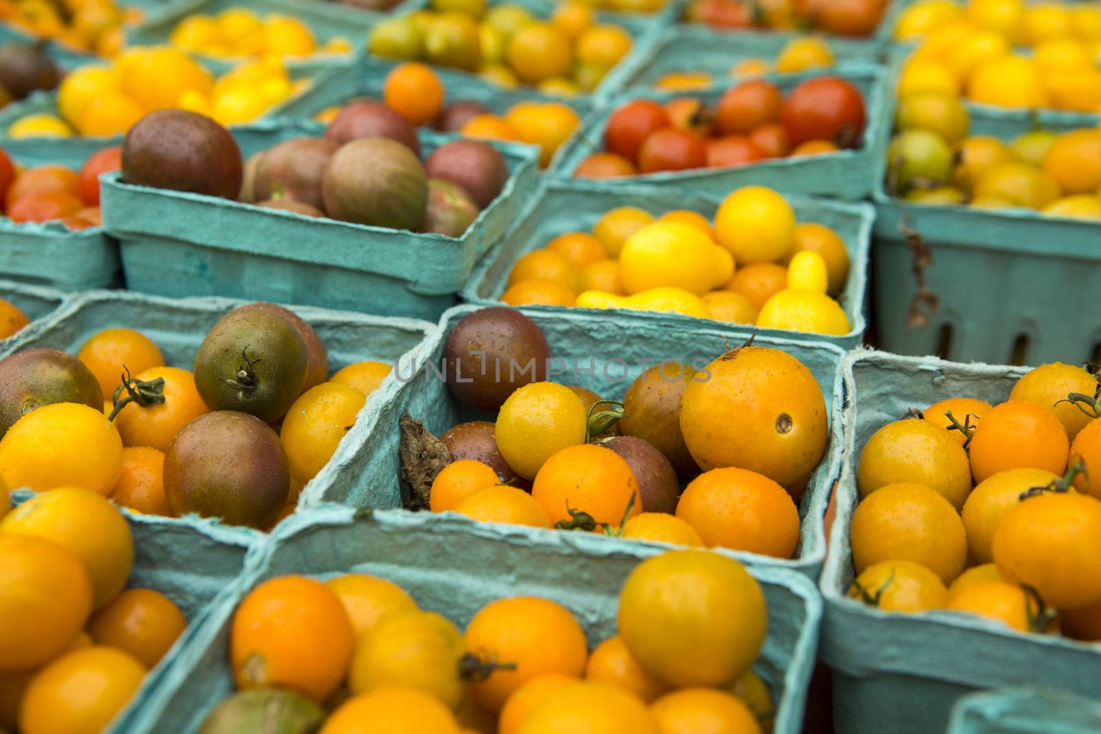 Organic tomatoes from a local market