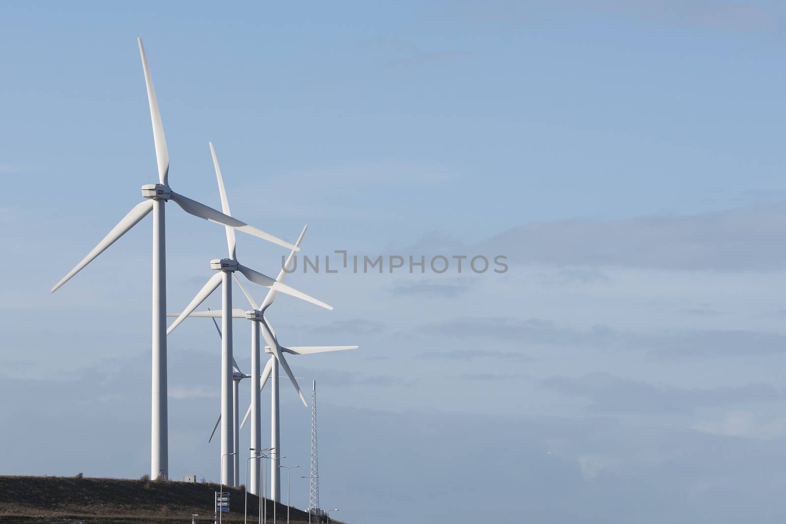 windmills near rotterdam by compuinfoto