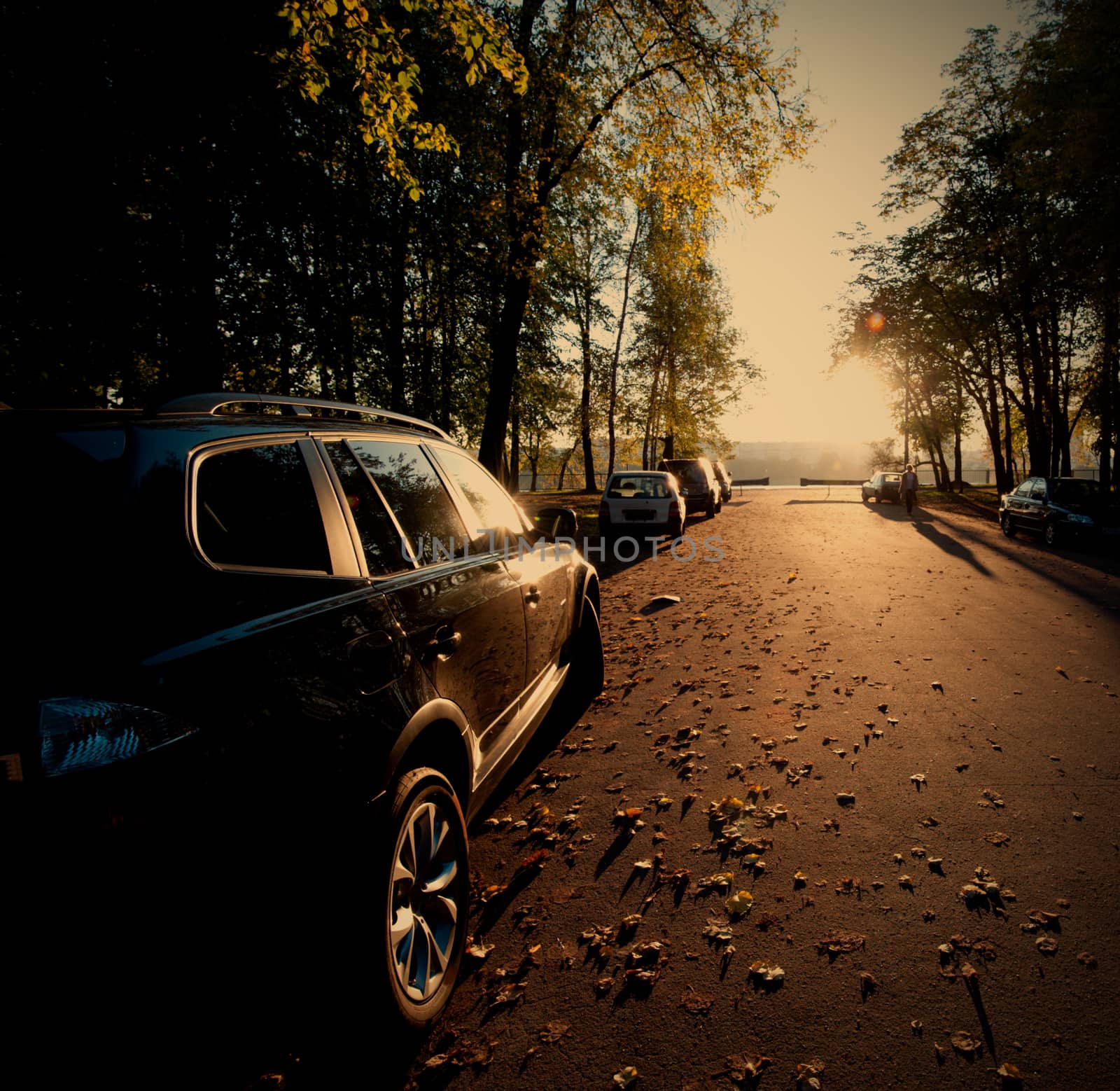black car autumn evening in the moscow park, instagram image style