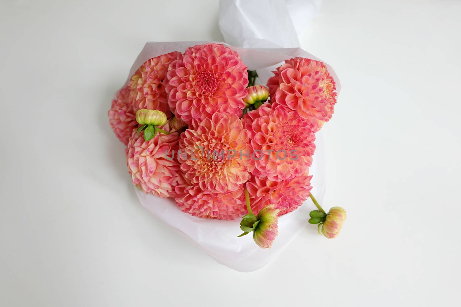 Bouquet of orange dahlias wrapped in white tissue paper