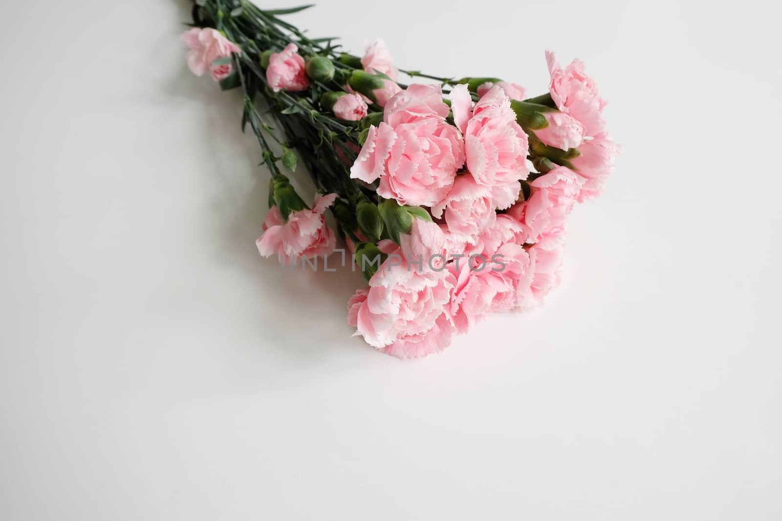 Bouquet of carnations by mmm