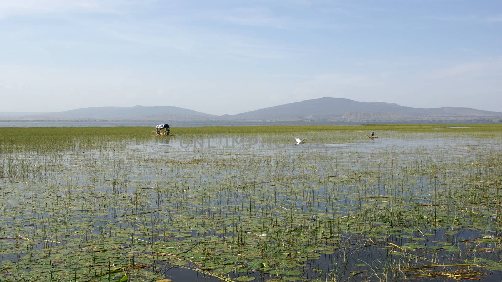 AWASSA, ETHIOPIA - NOVEMBER 15, 2014: Fishermen on Lake Awassa on November 15, 2014 in Awassa, Great Rift Valley, Ethiopia, Africa