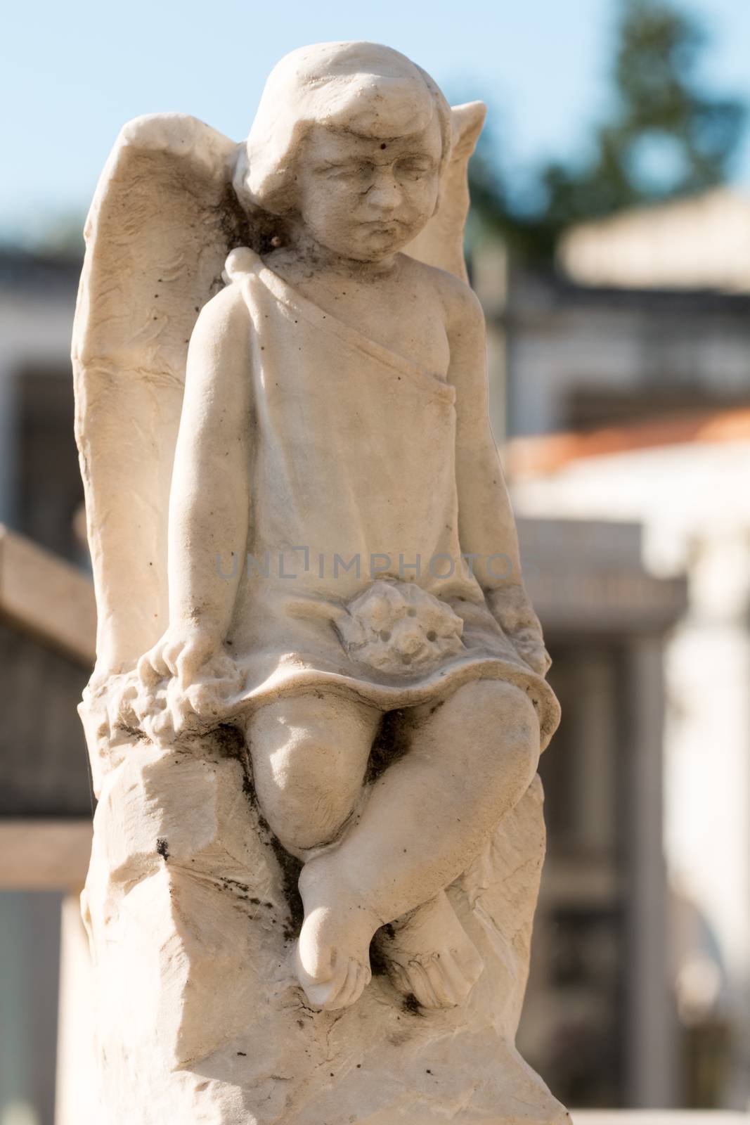 Ornamental details present on the graves of the cemeteries in Sicily