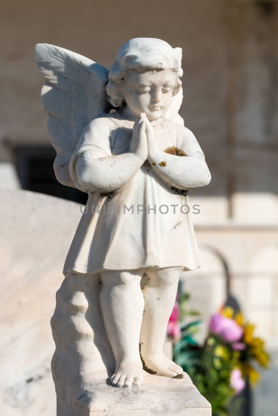 Ornamental details present on the graves of the cemeteries in Sicily