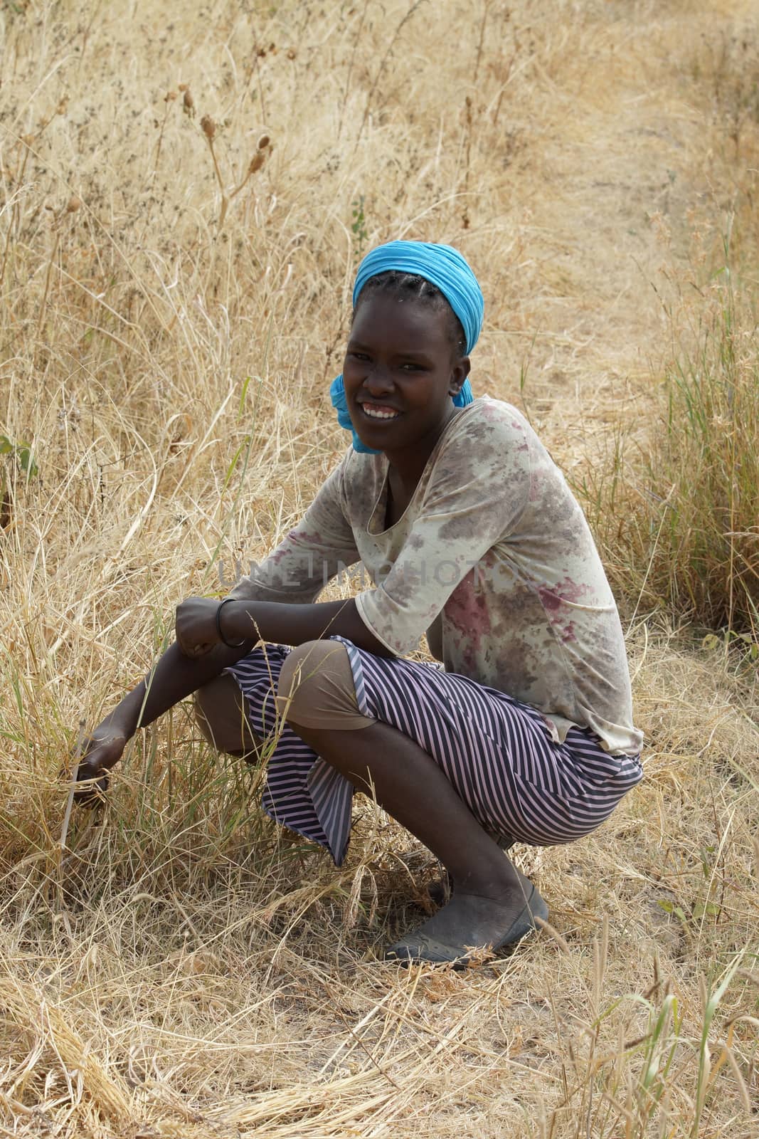 GREAT RIFT VALLEY, ETHIOPIA - NOVEMBER 16, 2014: Young Ethiopian woman on a field on November 23, 2014 in the Great Rift Valley, Ethiopia, Africa