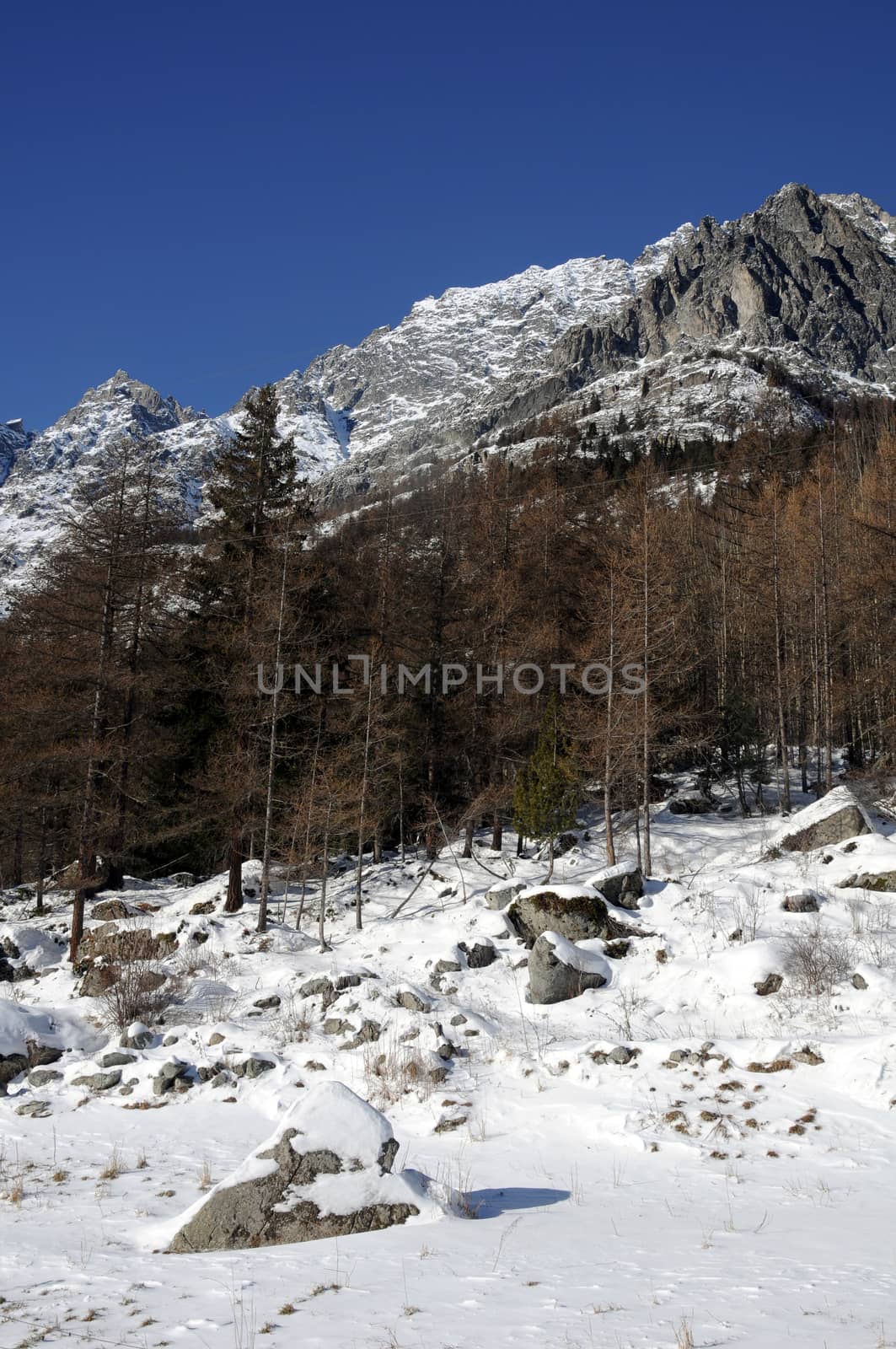 Landscape of Bionaz Valle d' Aosta