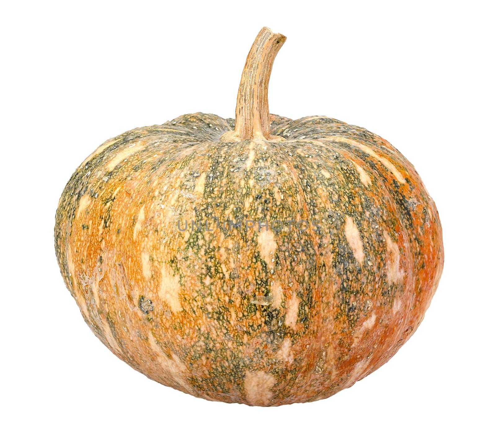 Pumpkin - Cucurbita moschata Decne. - isolated on white