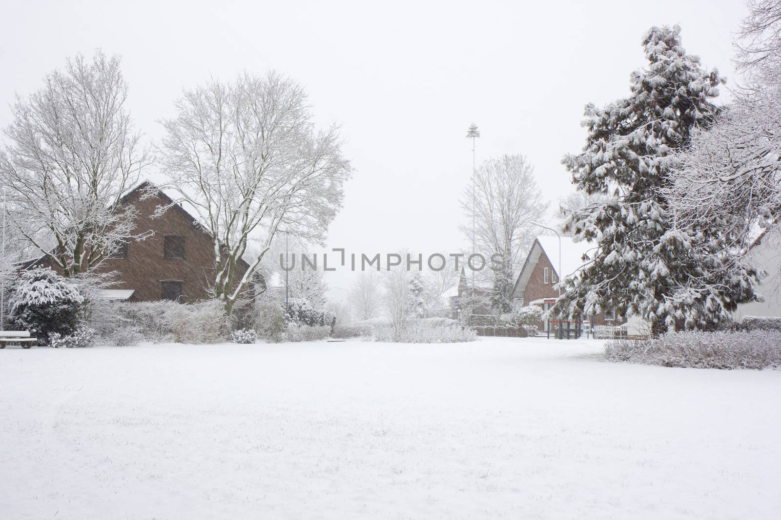 snowfall in the village - winter landscape by miradrozdowski