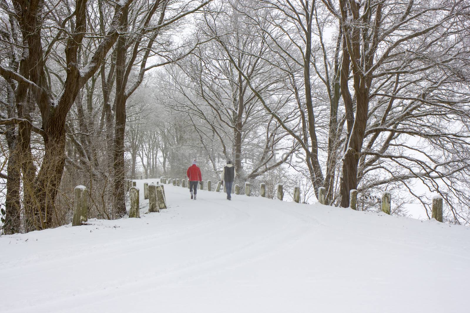 snowfall - winter landscape by miradrozdowski