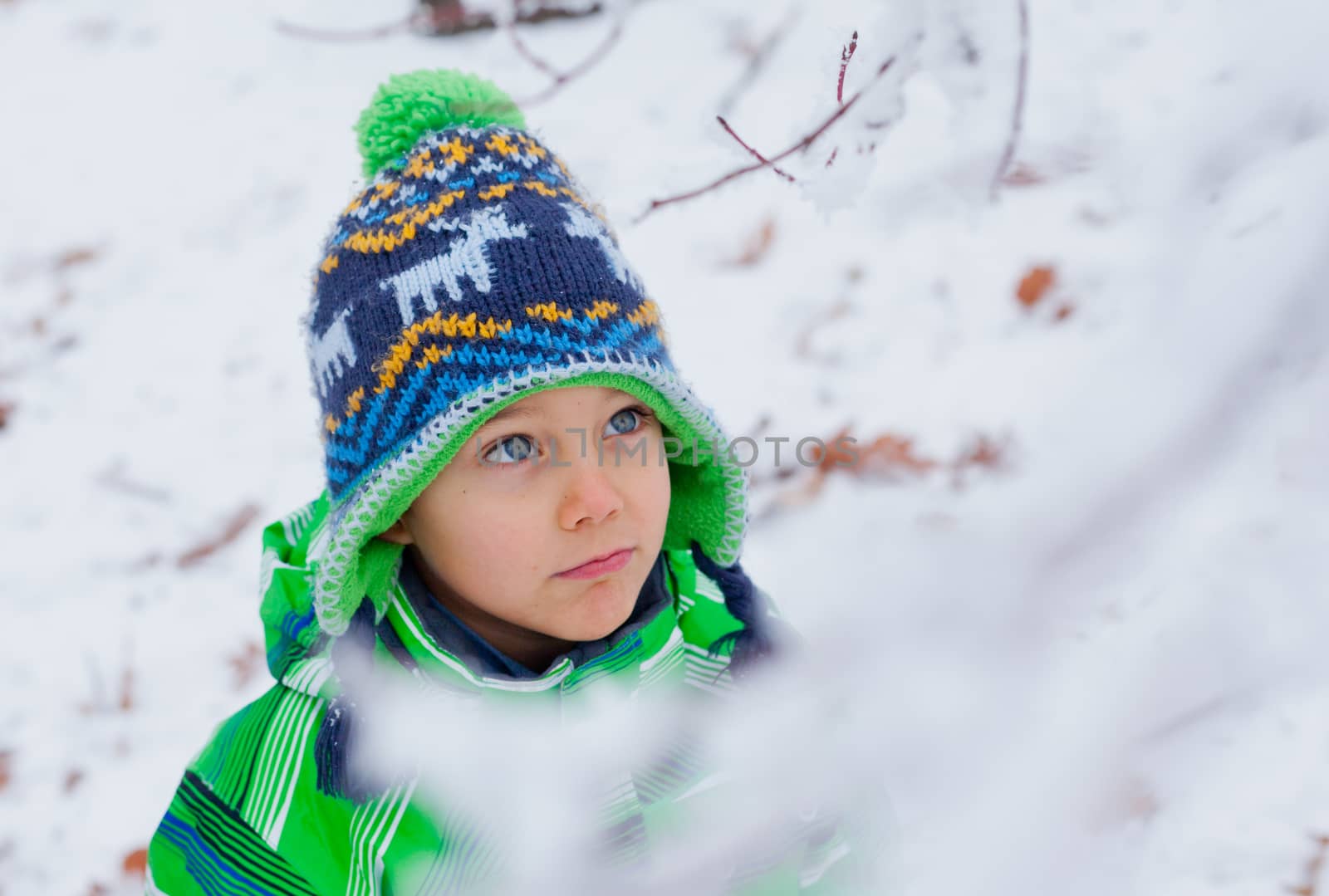 Portrait of a little boy in the snow
