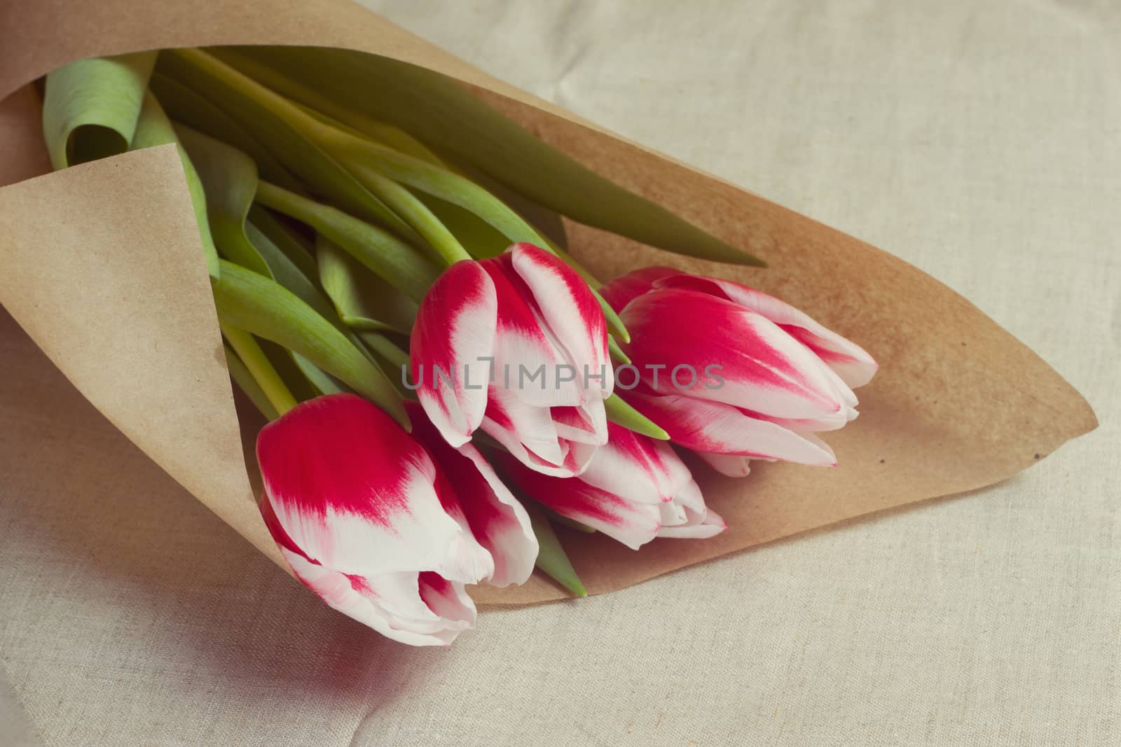 Bouquet of red tulips in multiples of parchment