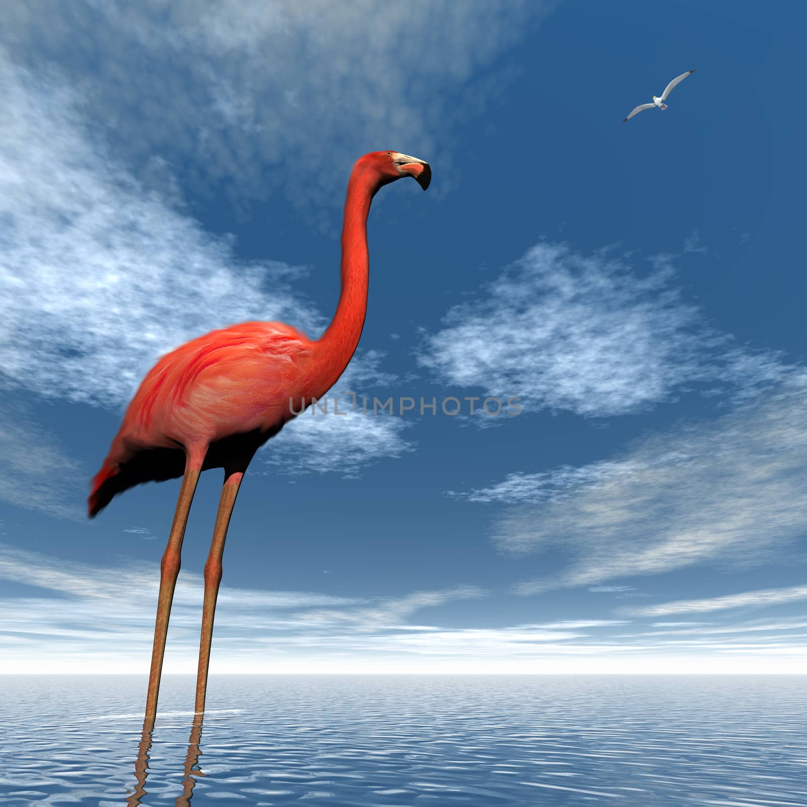 One pink flamingo standing in the water looking at seagull flying upon the ocean - 3D render