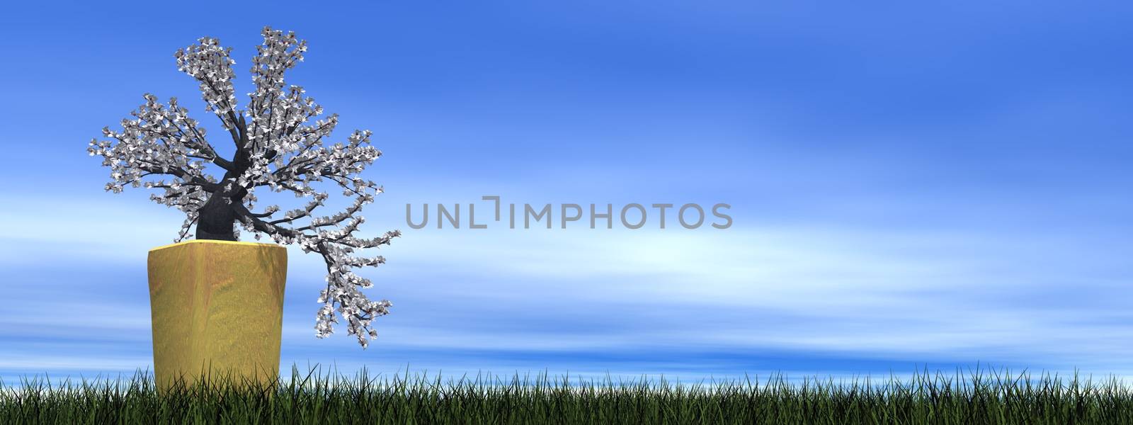 Apricot tree bonsai upon green grass - 3D render