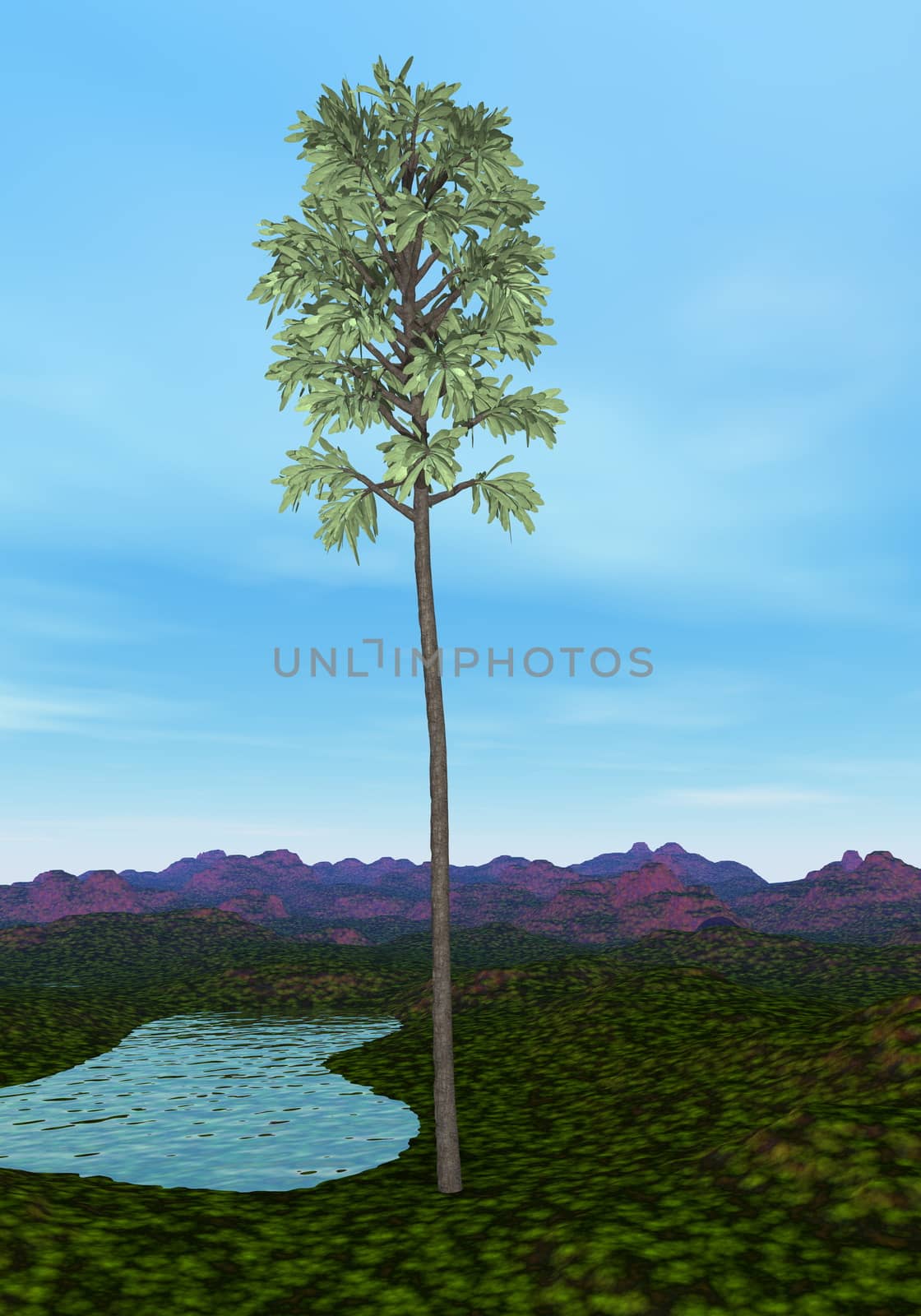 Cordaites tree - 3D render by Elenaphotos21