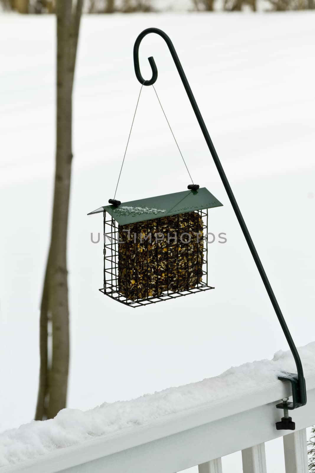 Block of bird seed hangs from porch rail on snowy, winter day