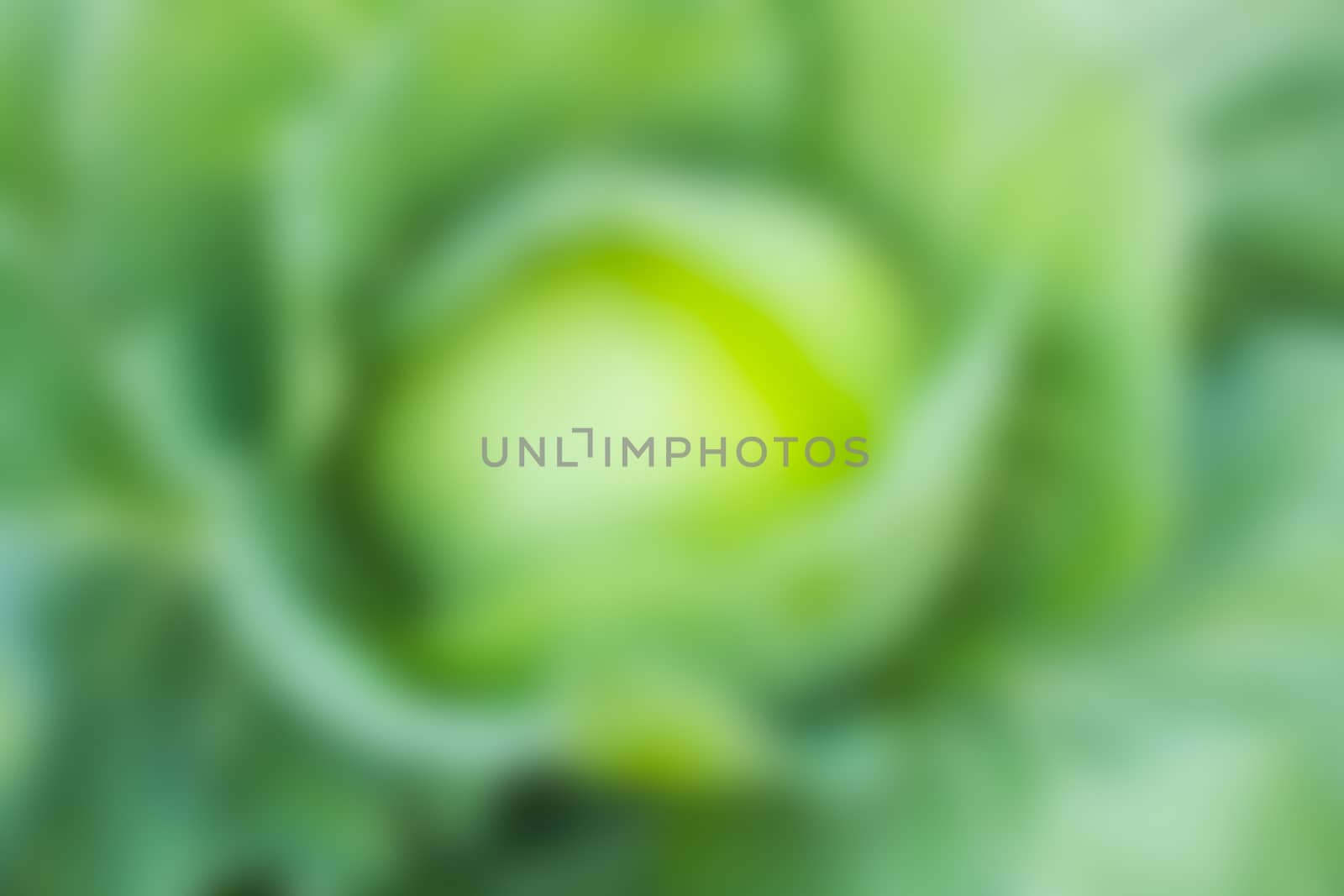 green bokeh abstract light background